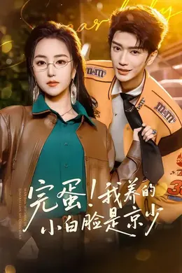 完蛋！我养的小白脸是京少海报图片