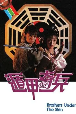 遁甲奇兵粤语封面图