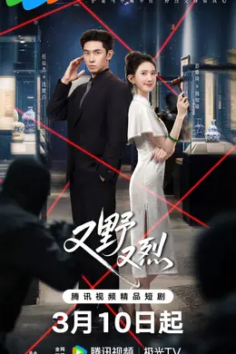 又野又烈封面图