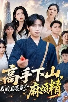 高手下山，我的老婆是个麻烦精封面图