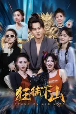 狂徒下山海报图片