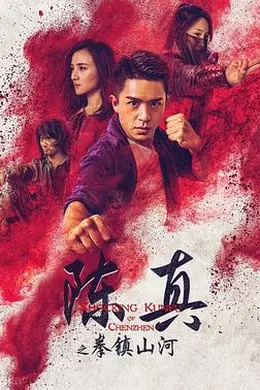 陈真之拳镇山河封面图