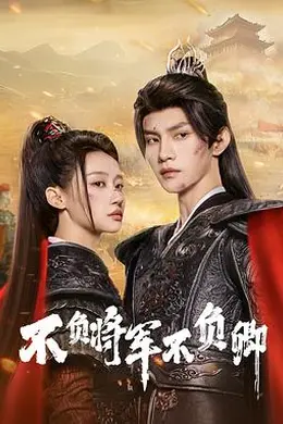 不负将军不负卿封面图