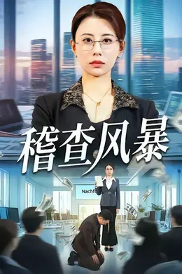 稽查风暴海报图片