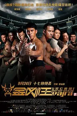 金刚王：死亡救赎封面图