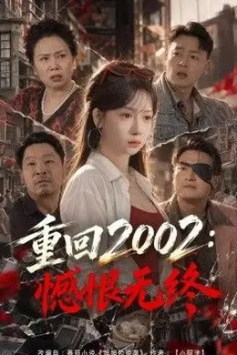 重回2002：憾恨无终封面图