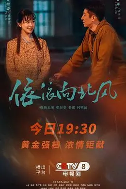 依依向北风封面图