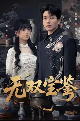 无双宝鉴封面图