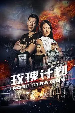 玫瑰计划封面图