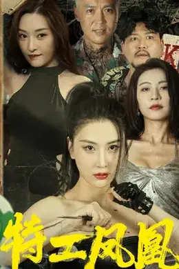 特工凤凰海报图片