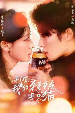 别摸我的杀手女友是只猫封面图