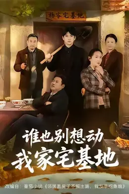 谁也别想动我家宅基地海报图片