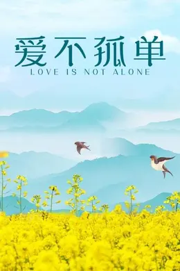 爱不孤单封面图