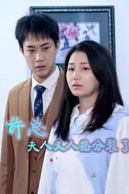 许总，夫人又人格分裂了海报图片