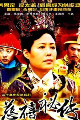 慈禧秘传封面图