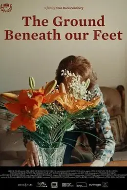 我们脚下的大地封面图