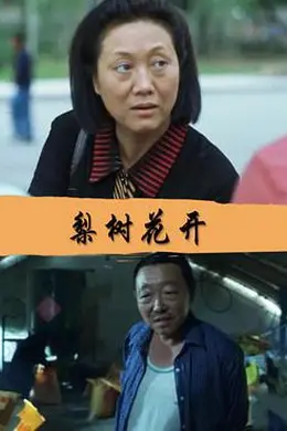 梨树花开封面图