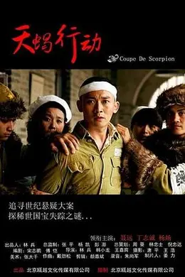 天蝎行动封面图