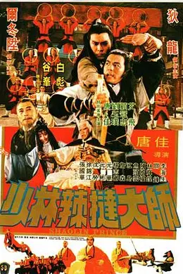 少林传人封面图