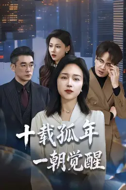 十载孤年，一朝觉醒海报图片