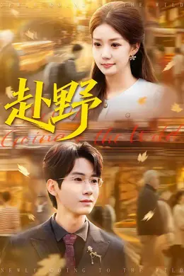 赴野封面图