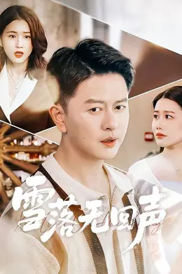 雪落无回声封面图