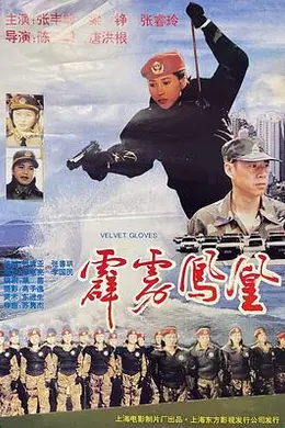 霹雳凤凰封面图