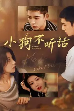 小狗不听话封面图