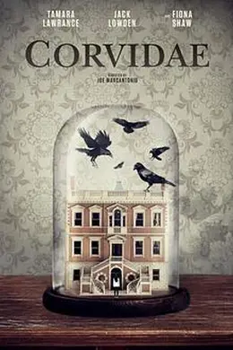 亲属关系封面图