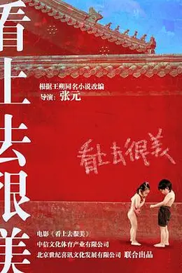 看上去很美封面图