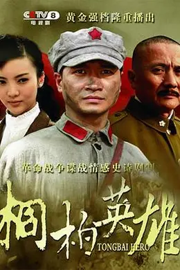 桐柏英雄封面图
