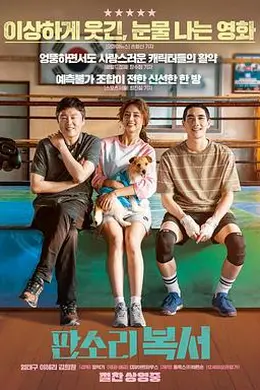 盘索里拳击手封面图