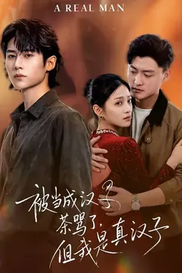 被当成汉子茶骂了，但我是真汉子海报图片