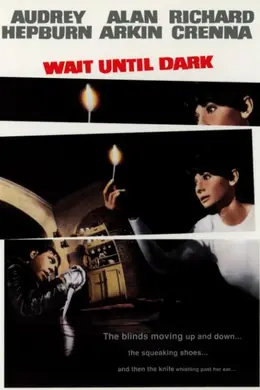 盲女惊魂记封面图