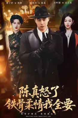 陈真怒了铁骨柔情我全要海报图片