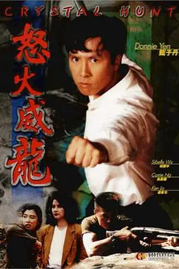 怒火威龙 怒火威龍封面图