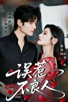 误惹不良人海报图片