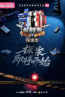 守护解放西探案季封面图
