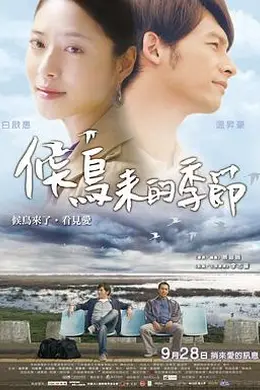 候鸟来的季节封面图