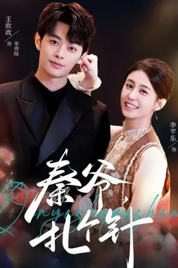 秦爷，扎个针海报图片