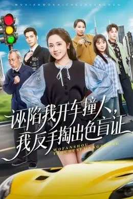 诬陷我开车撞人，我反手掏出色盲证海报图片