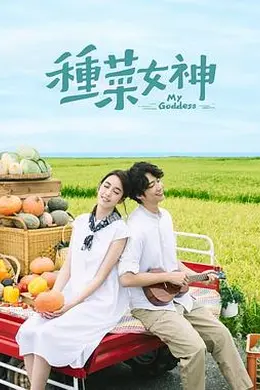 种菜女神封面图