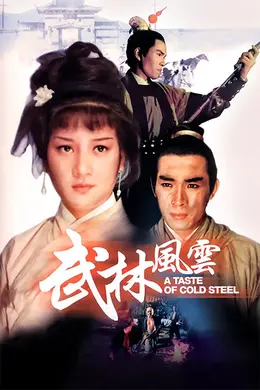 武林风云封面图