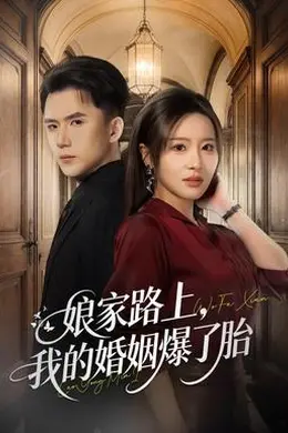 娘家路上，我的婚姻爆了胎封面图