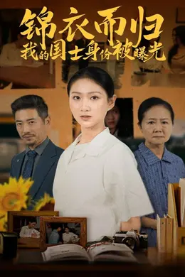 锦衣而归我的国士身份被曝光海报图片