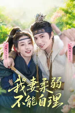 我妻柔弱不能自理海报图片