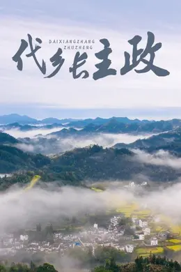 代乡长主政封面图