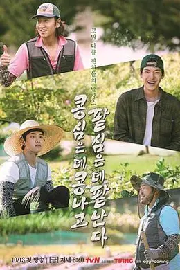 种豆得豆封面图