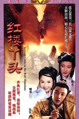 红楼丫头封面图