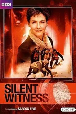 无声的证言第五季封面图
